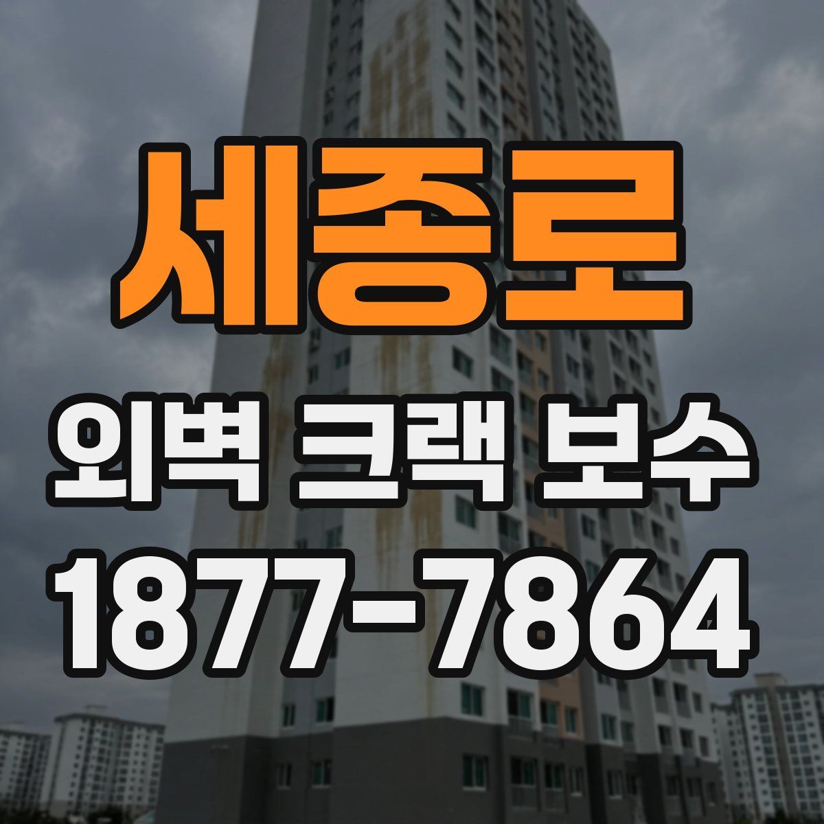 세종로 외벽 크랙 보수
