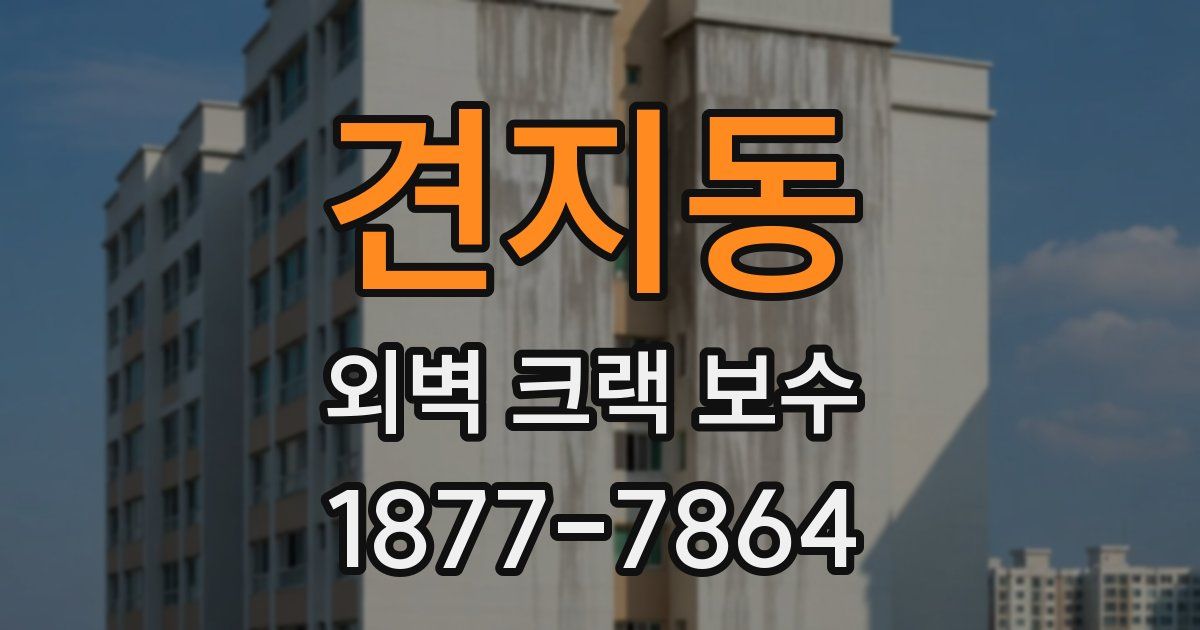견지동 외벽 크랙 보수