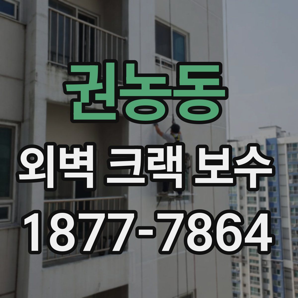 권농동 외벽 크랙 보수