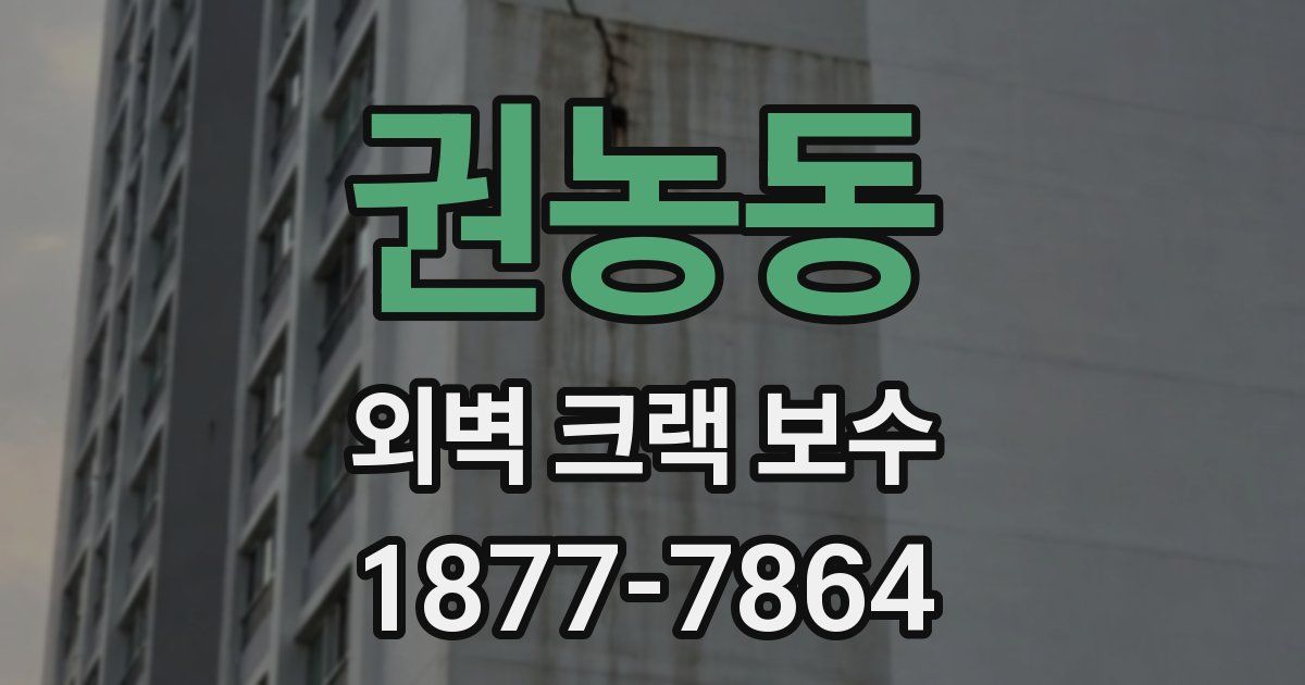 권농동 외벽 크랙 보수