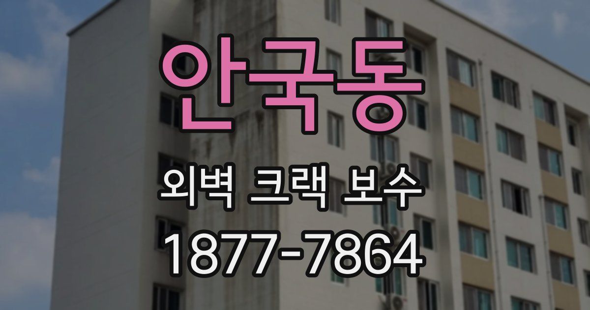 안국동 외벽 크랙 보수