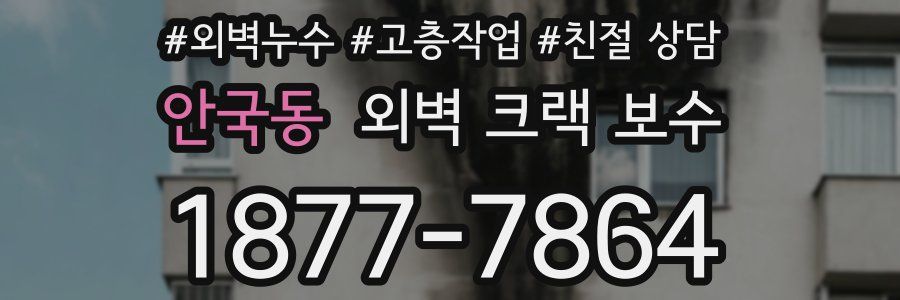 안국동 외벽 크랙 보수