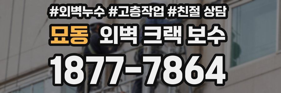 묘동 외벽 크랙 보수
