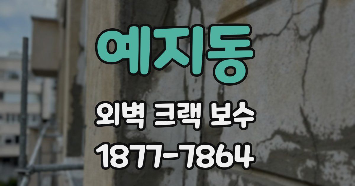 예지동 외벽 크랙 보수