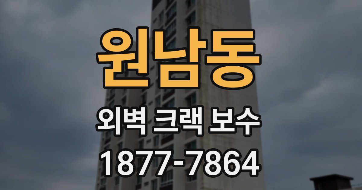 원남동 외벽 크랙 보수