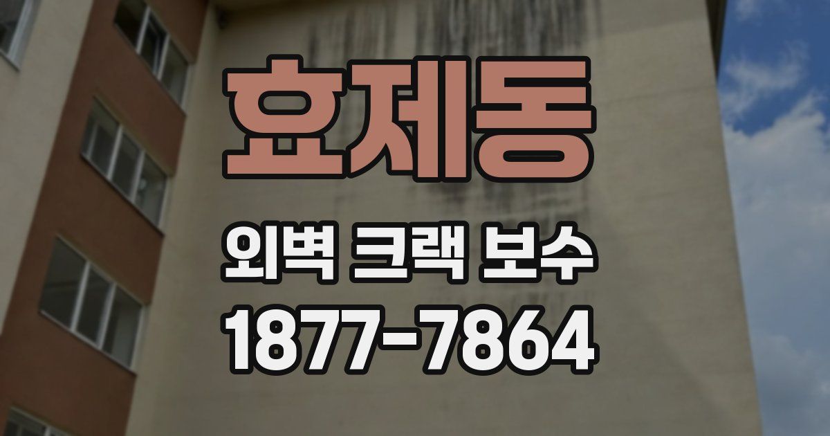 효제동 외벽 크랙 보수
