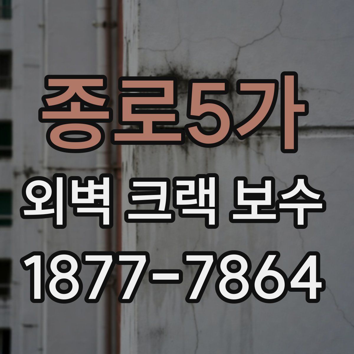 종로5가 외벽 크랙 보수