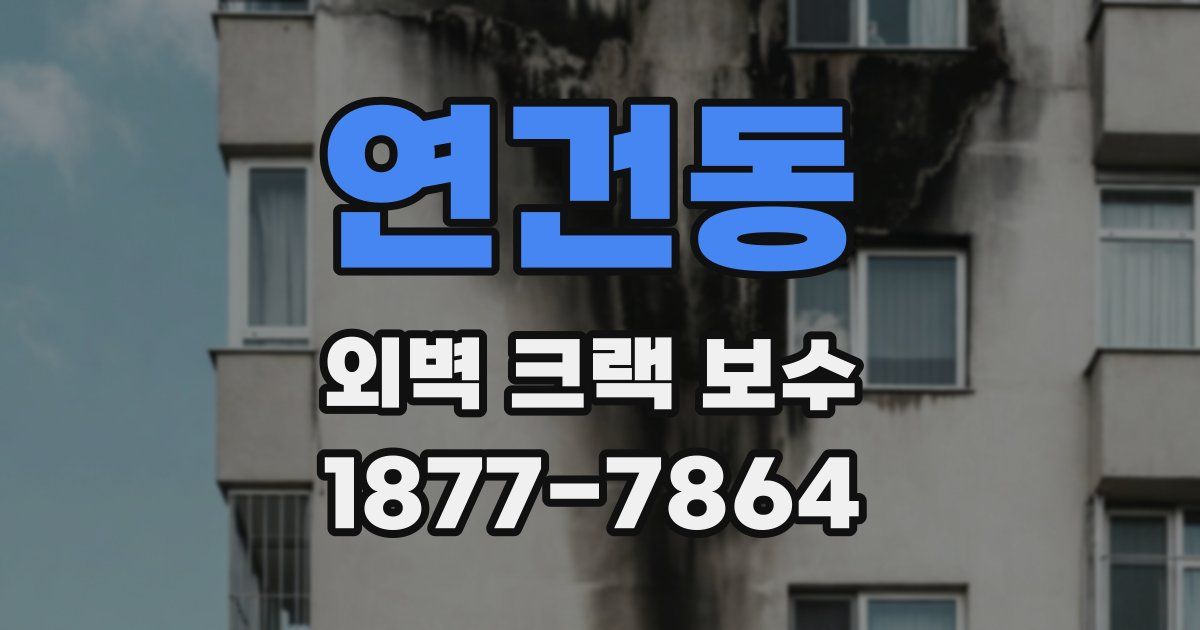 연건동 외벽 크랙 보수