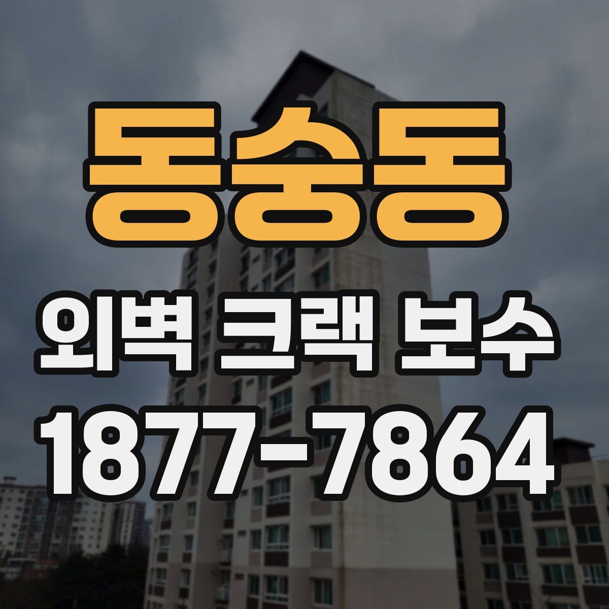 동숭동 외벽 크랙 보수