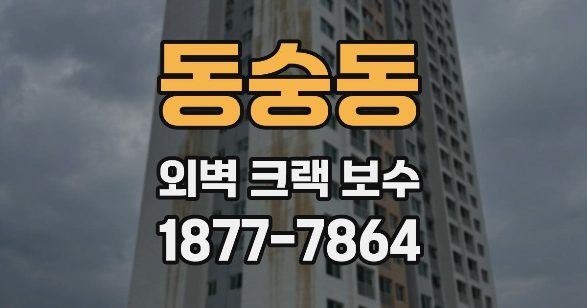 동숭동 외벽 크랙 보수
