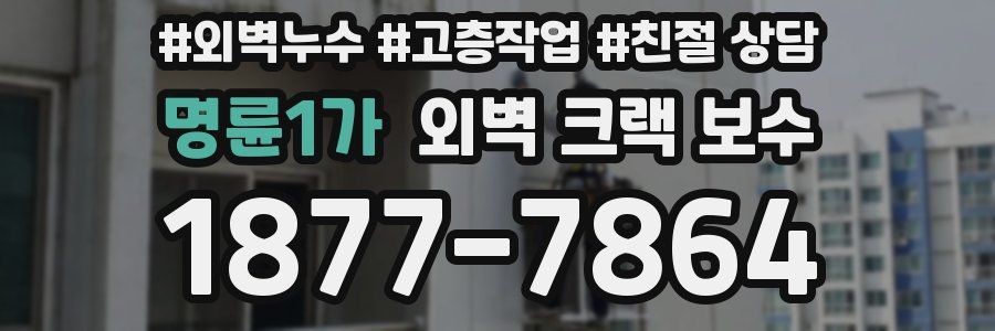 명륜1가 외벽 크랙 보수