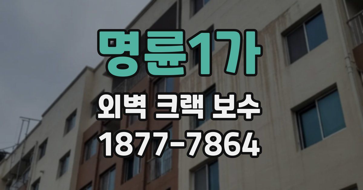 명륜1가 외벽 크랙 보수