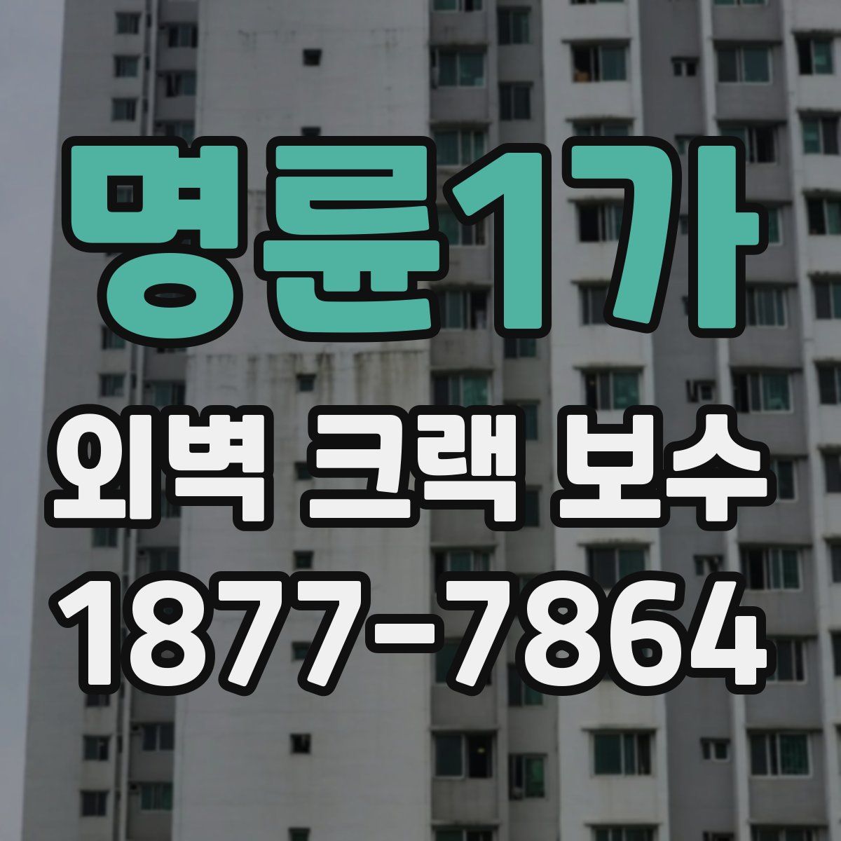 명륜1가 외벽 크랙 보수