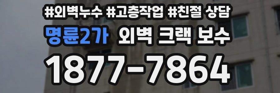 명륜2가 외벽 크랙 보수