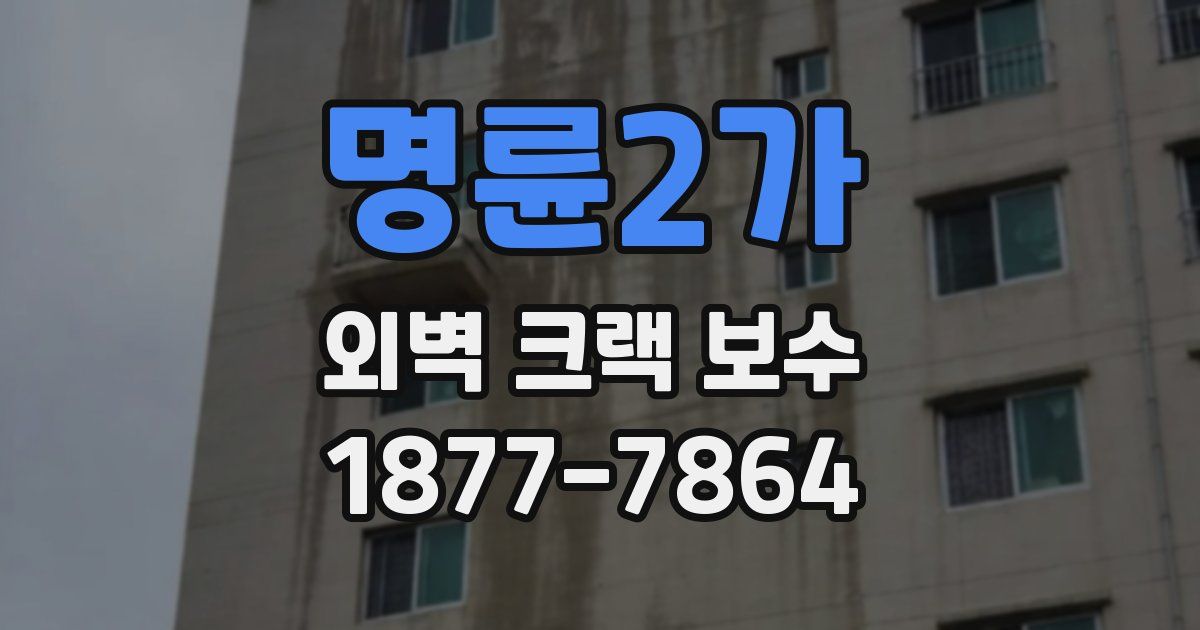 명륜2가 외벽 크랙 보수