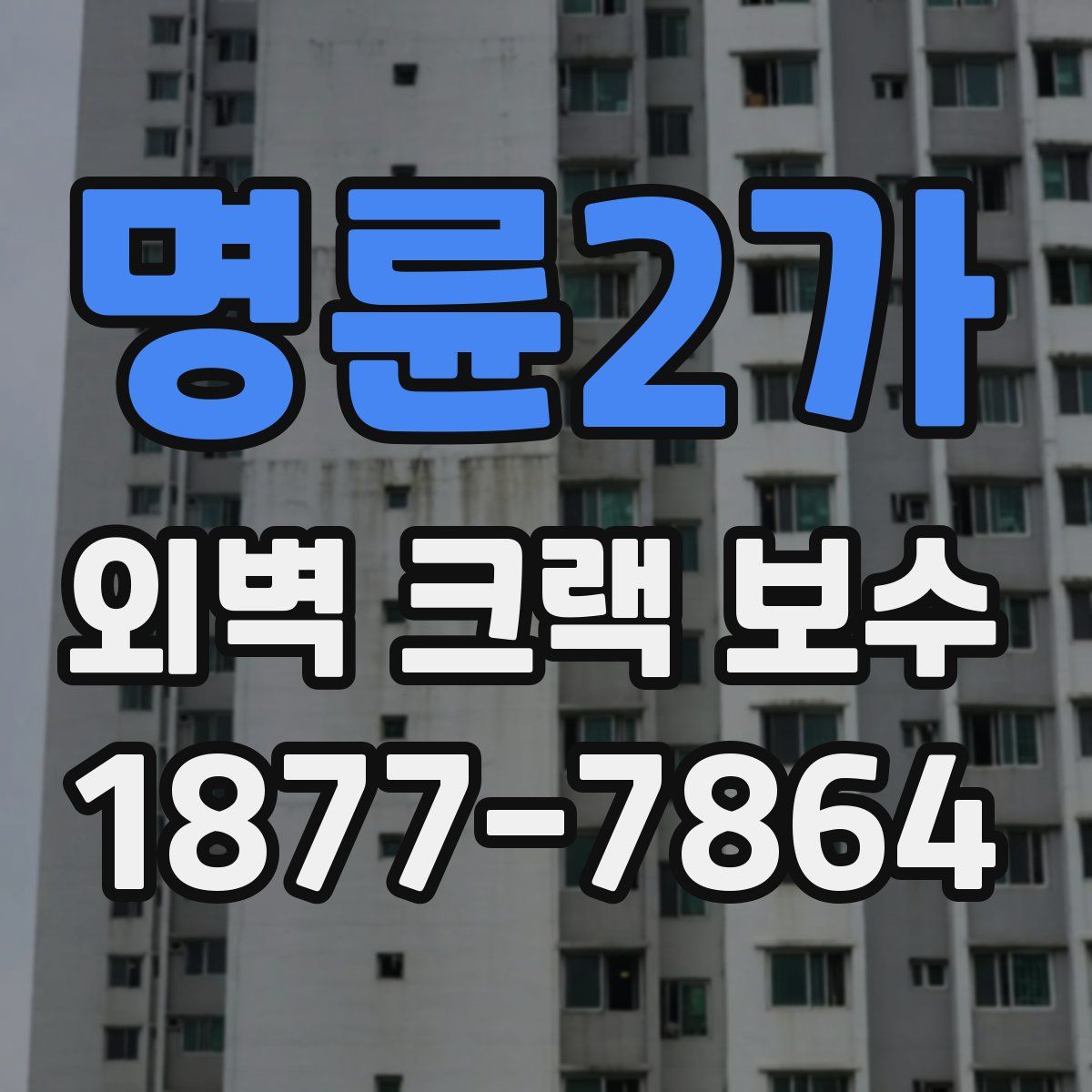 명륜2가 외벽 크랙 보수
