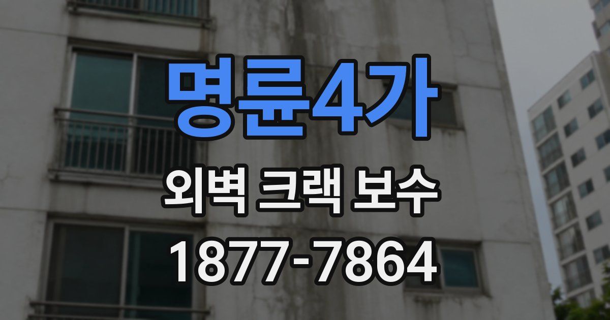 명륜4가 외벽 크랙 보수