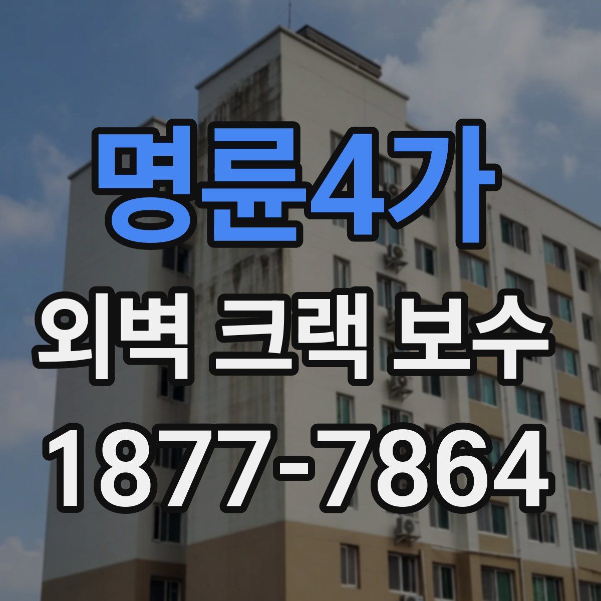 명륜4가 외벽 크랙 보수
