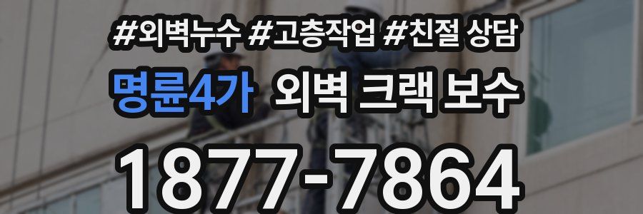 명륜4가 외벽 크랙 보수