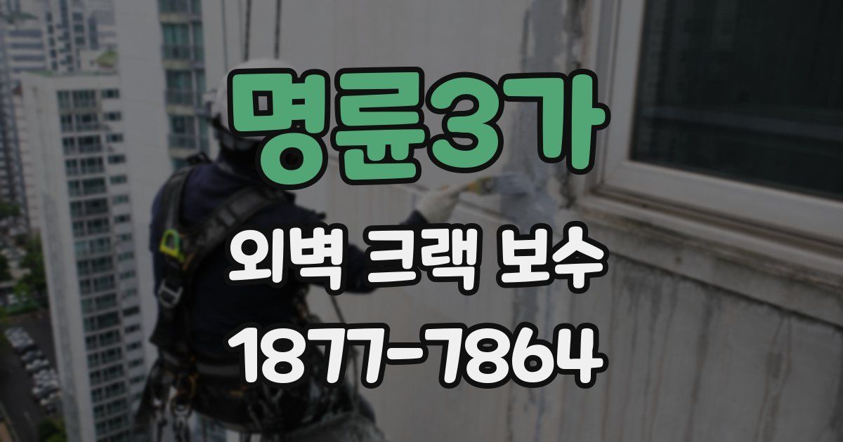 명륜3가 외벽 크랙 보수