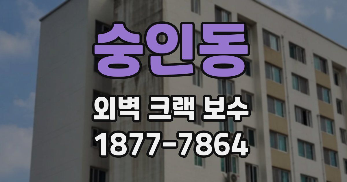 숭인동 외벽 크랙 보수
