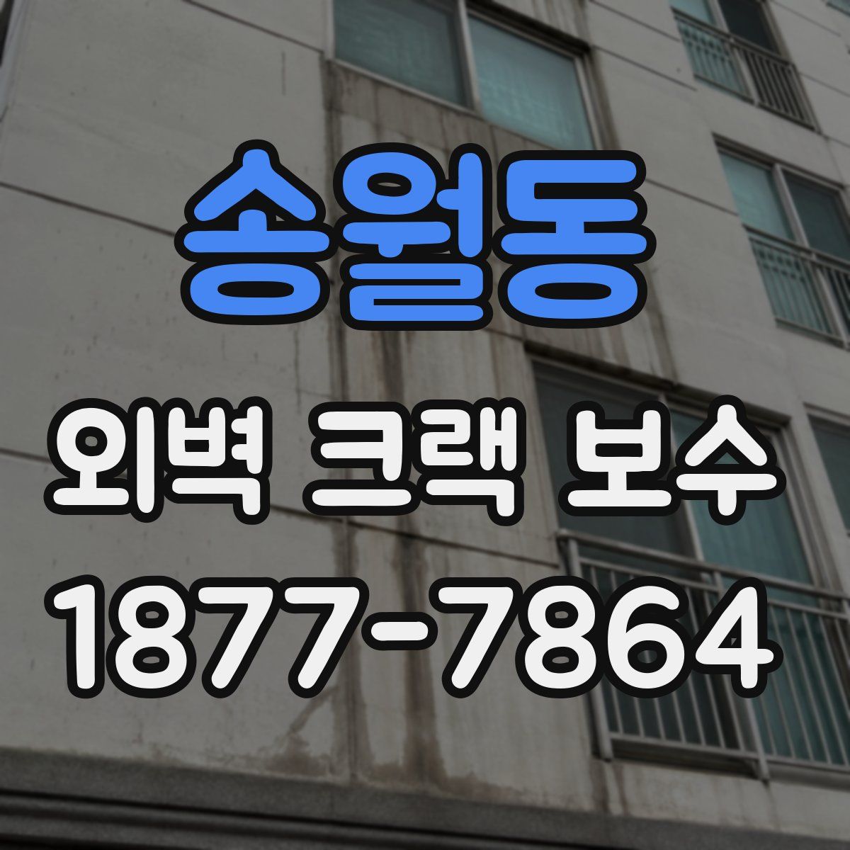 송월동 외벽 크랙 보수