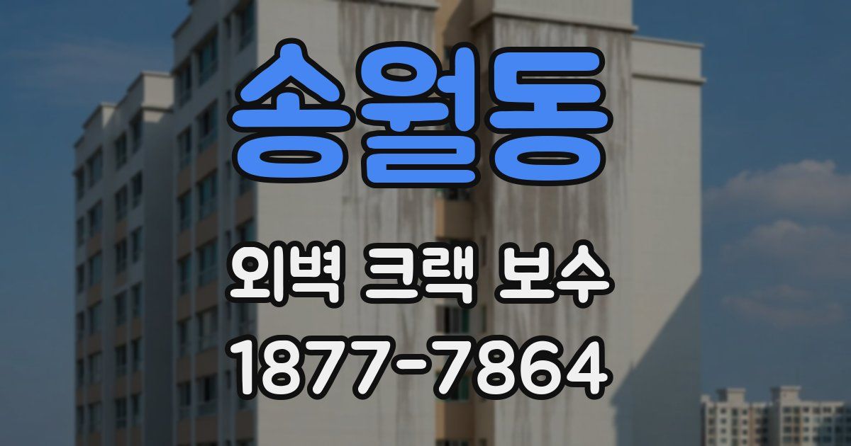 송월동 외벽 크랙 보수
