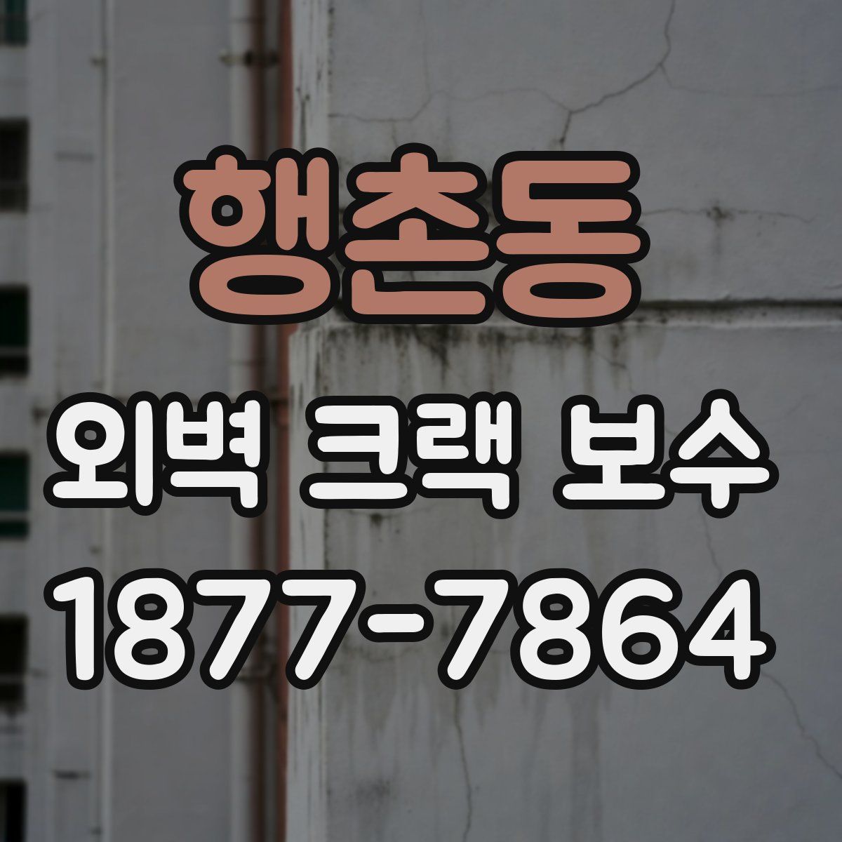 행촌동 외벽 크랙 보수