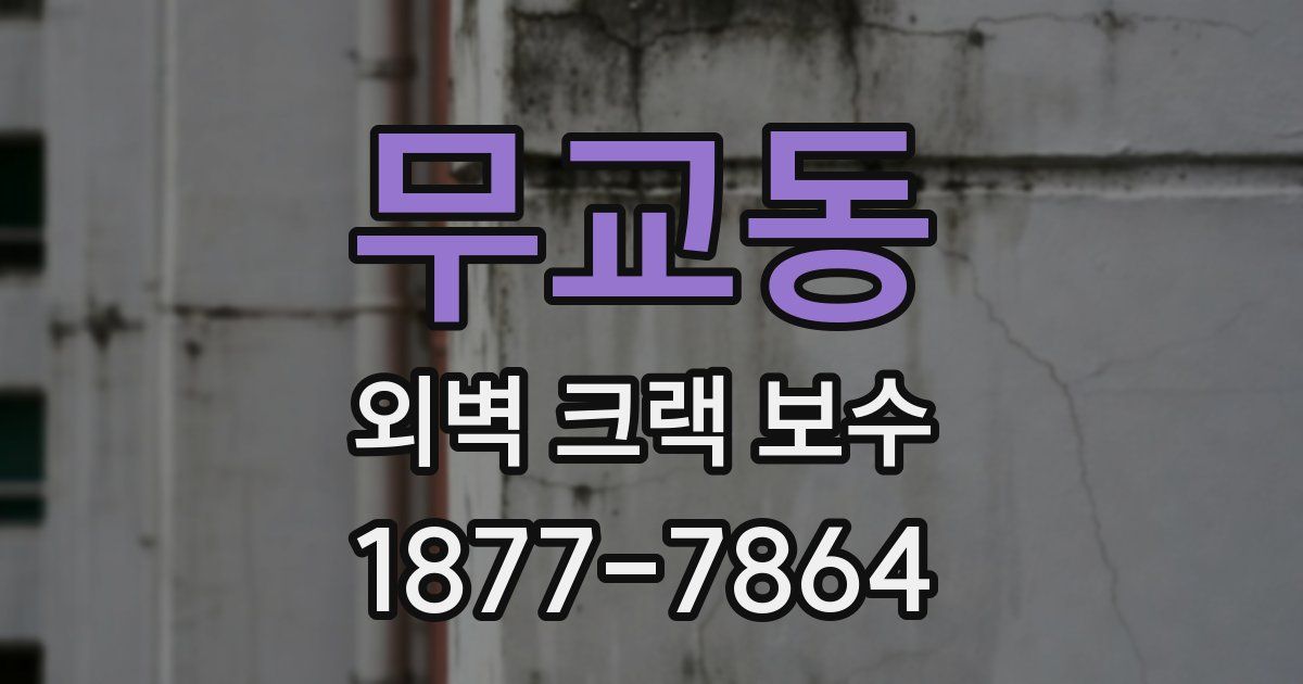 무교동 외벽 크랙 보수