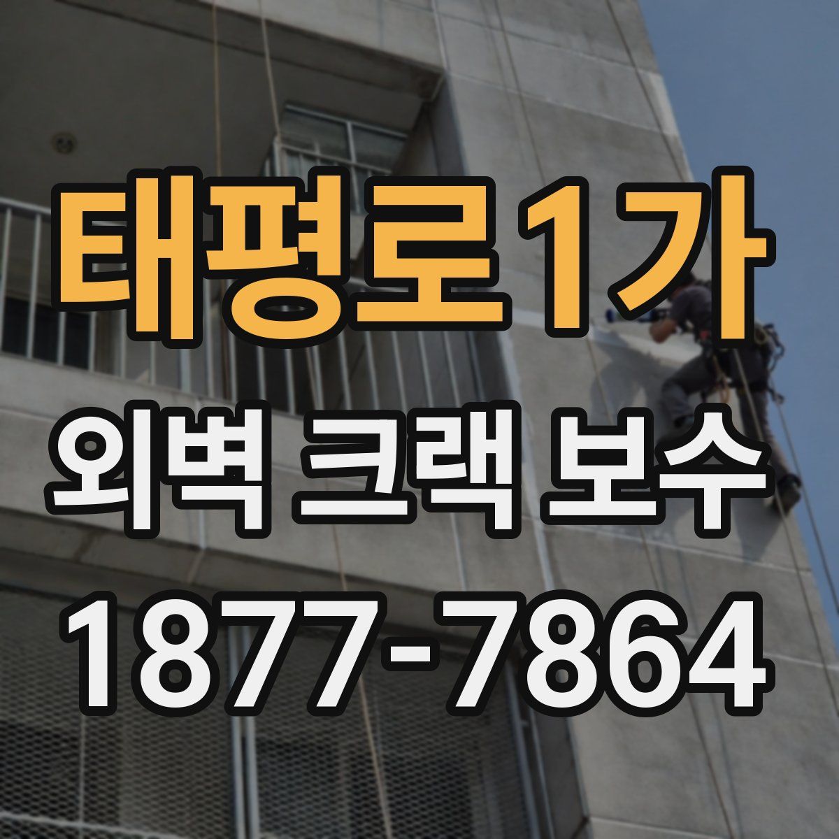 태평로1가 외벽 크랙 보수