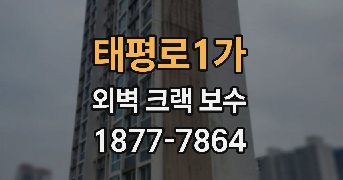 태평로1가 외벽 크랙 보수