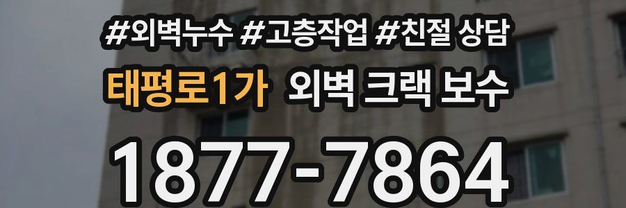 태평로1가 외벽 크랙 보수