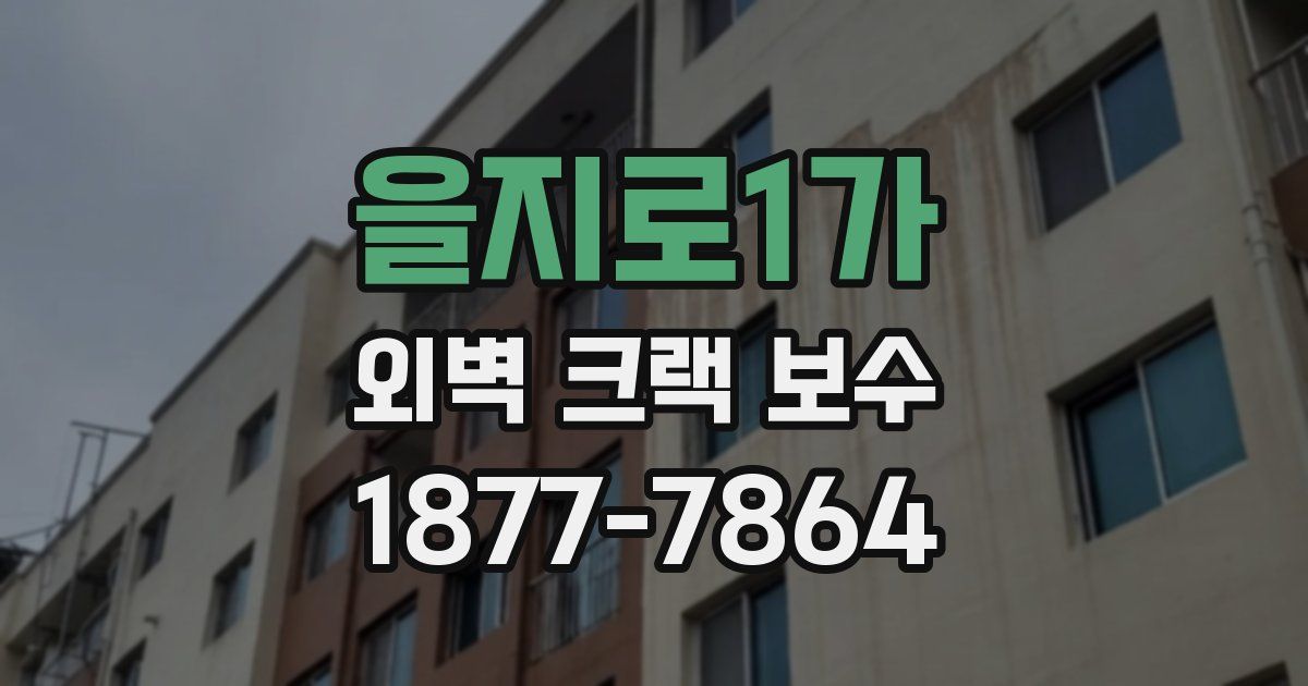 을지로1가 외벽 크랙 보수