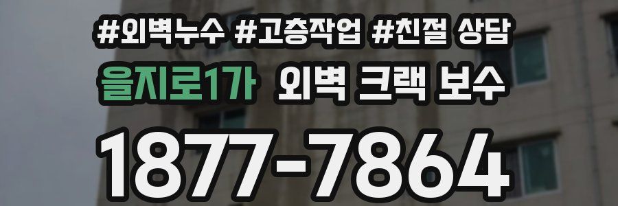 을지로1가 외벽 크랙 보수