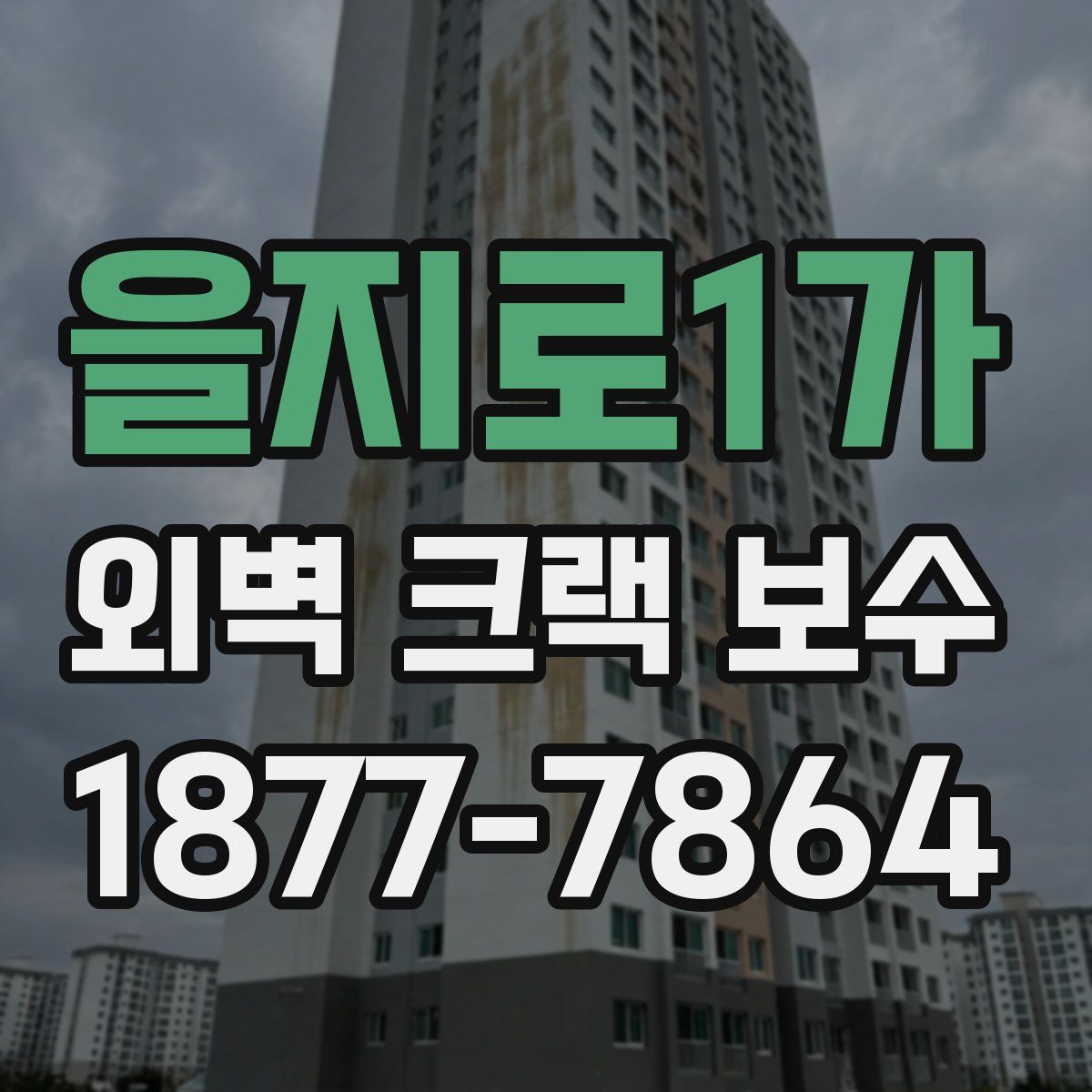 을지로1가 외벽 크랙 보수