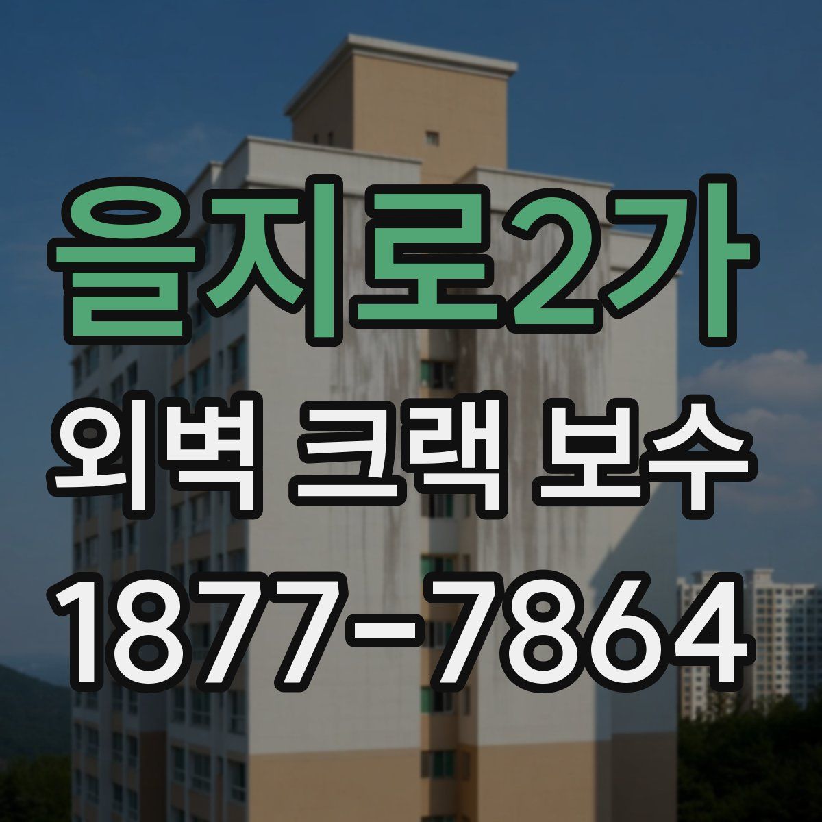 을지로2가 외벽 크랙 보수