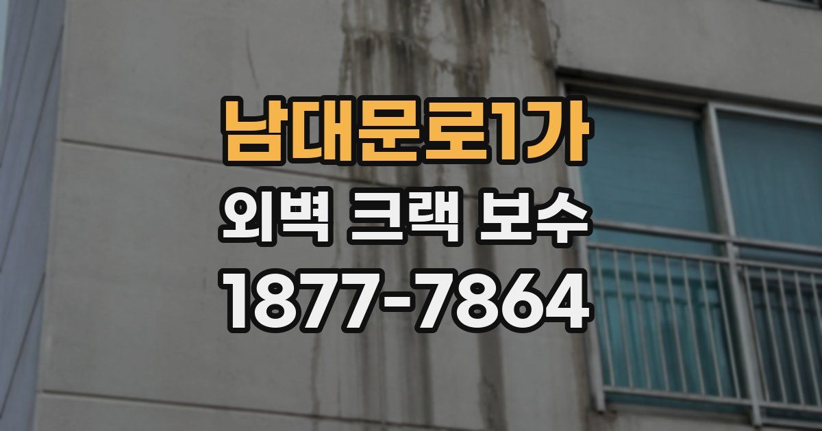 남대문로1가 외벽 크랙 보수