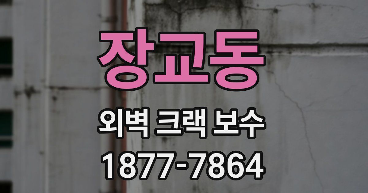 장교동 외벽 크랙 보수