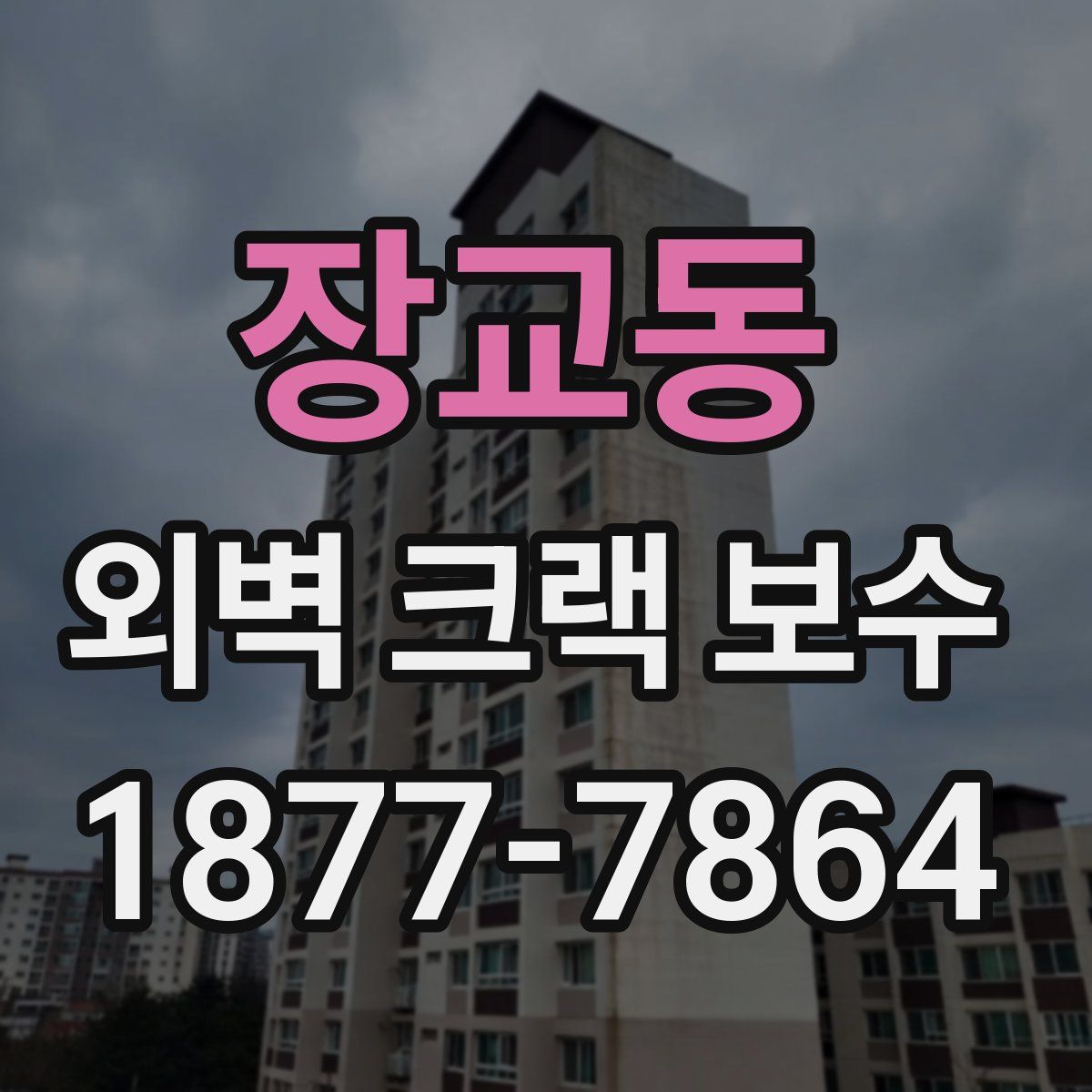 장교동 외벽 크랙 보수