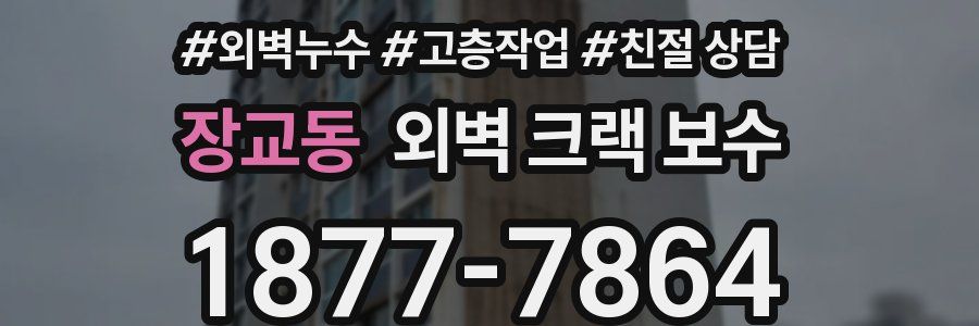 장교동 외벽 크랙 보수