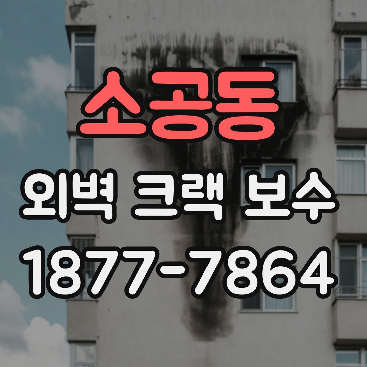 소공동 외벽 크랙 보수