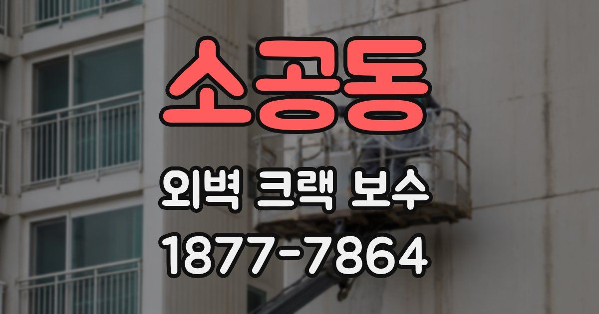 소공동 외벽 크랙 보수