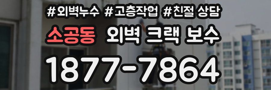 소공동 외벽 크랙 보수