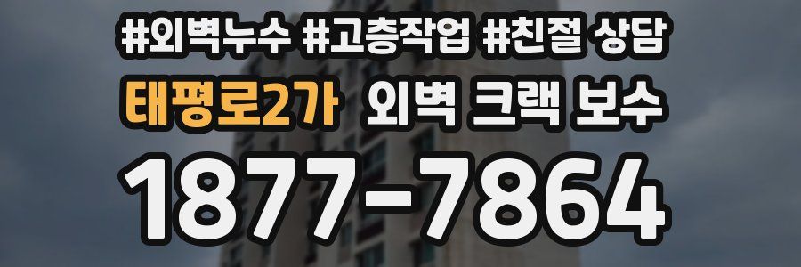 태평로2가 외벽 크랙 보수