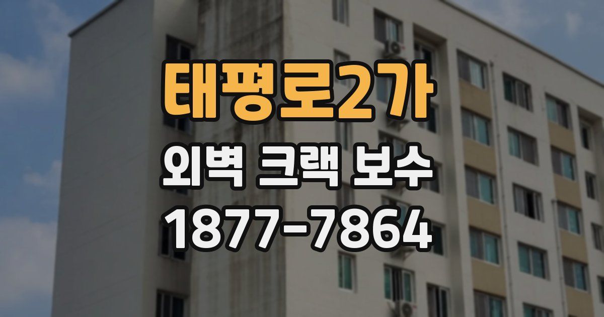 태평로2가 외벽 크랙 보수