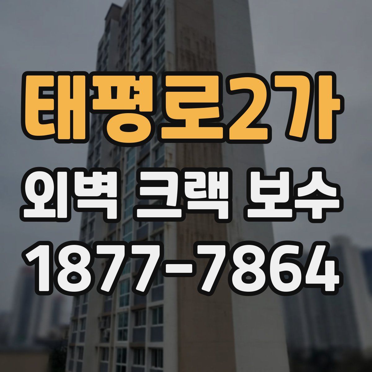 태평로2가 외벽 크랙 보수