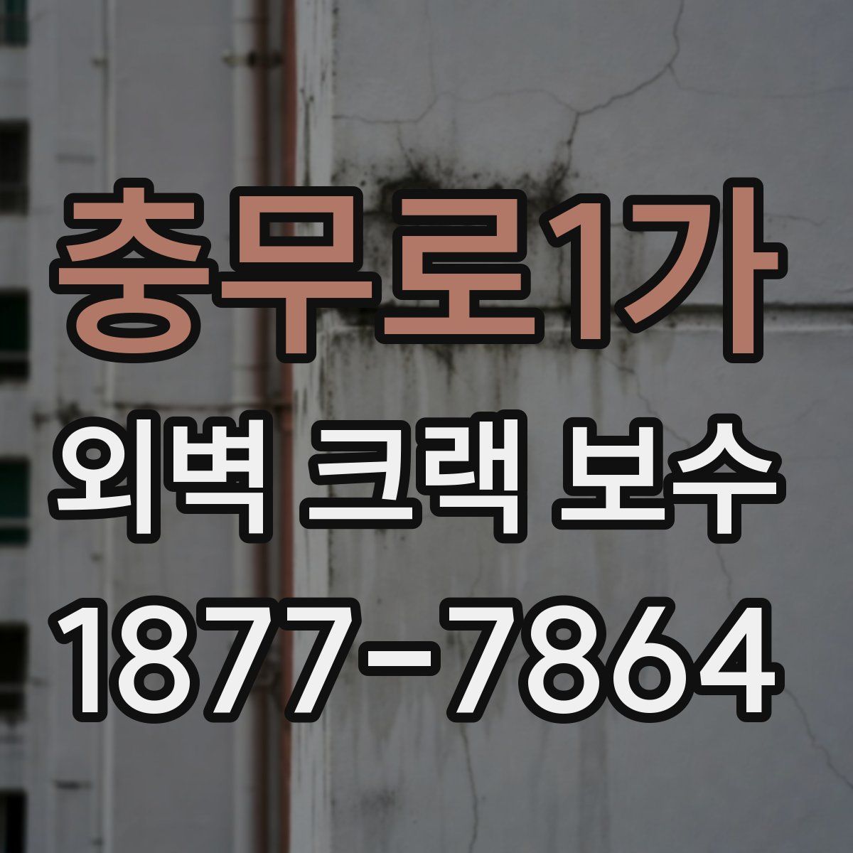 충무로1가 외벽 크랙 보수
