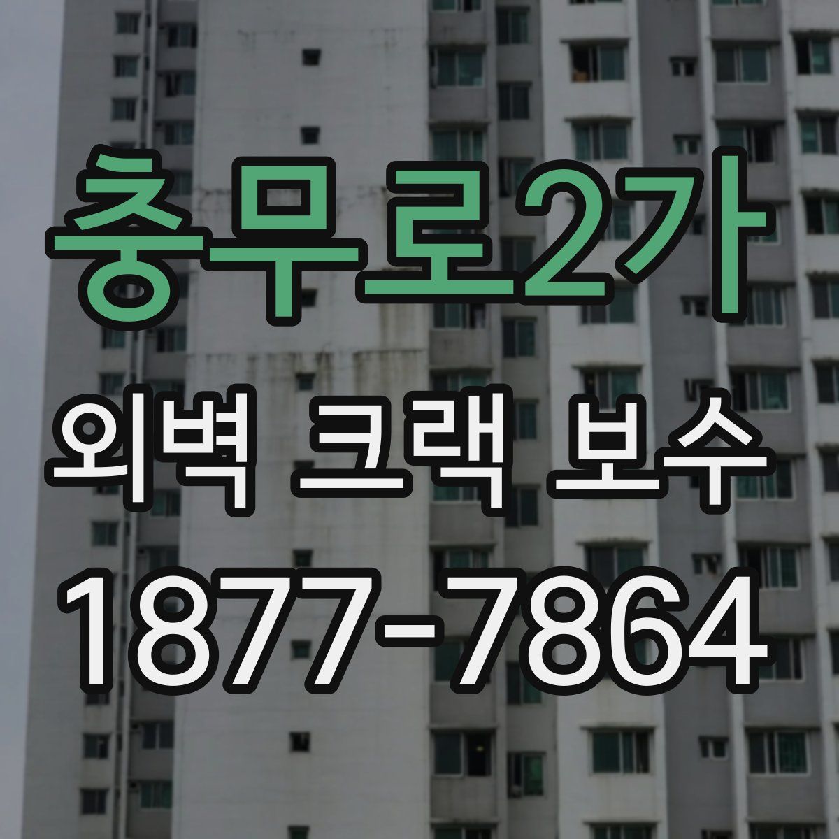 충무로2가 외벽 크랙 보수