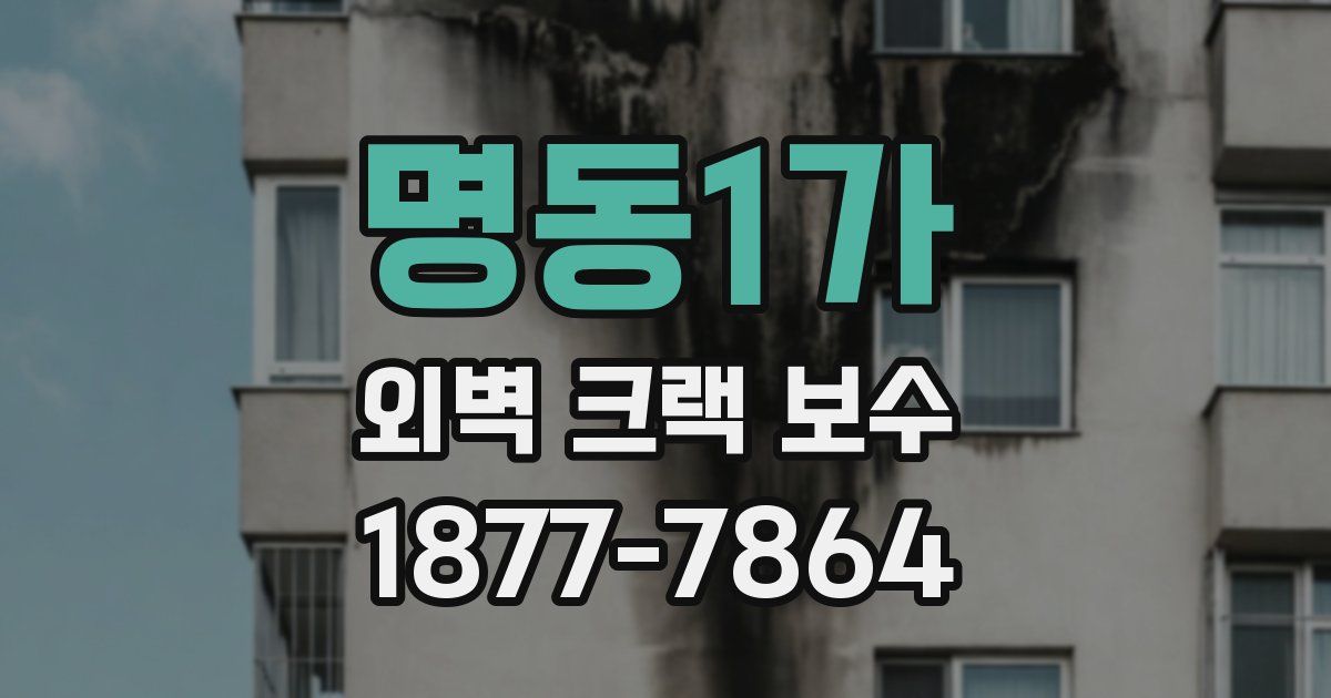 명동1가 외벽 크랙 보수