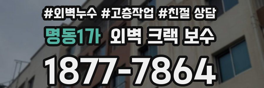 명동1가 외벽 크랙 보수